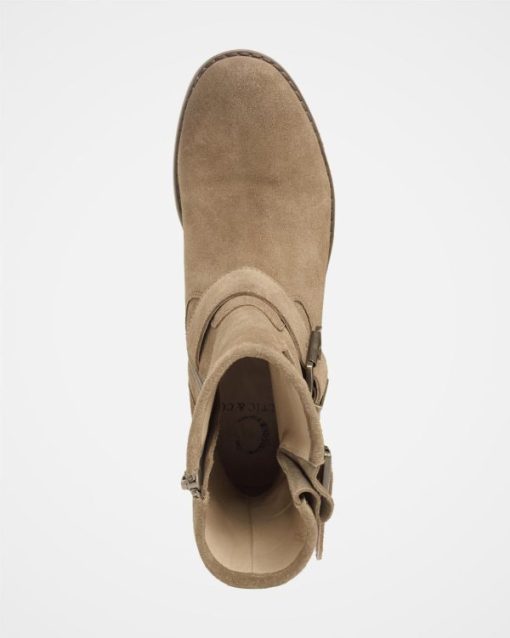 Trendroar.shop8104c75055 6