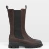 Trendroar.shop8452e6abbe 1