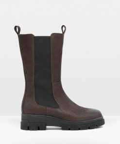 Trendroar.shop8452e6abbe 1