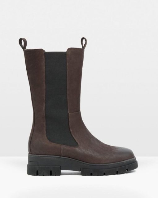 Trendroar.shop8452e6abbe 1