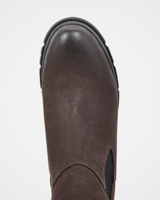 Trendroar.shop8452e6abbe 6