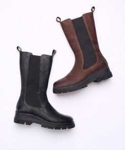 Trendroar.shop8452e6abbe 8
