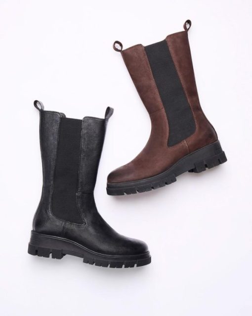 Trendroar.shop8452e6abbe 8