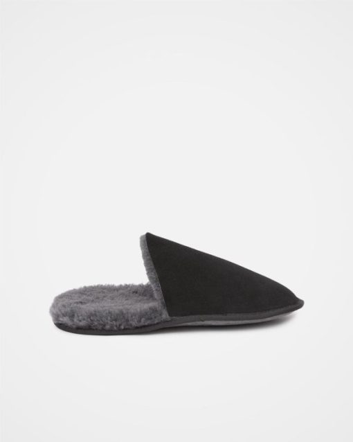 Trendroar.shop87b1939e8d 2