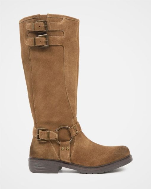Trendroar.shop8ca89451d7 3
