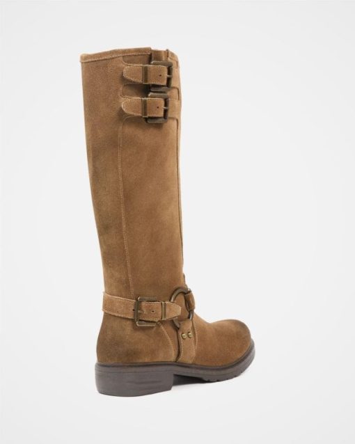 Trendroar.shop8ca89451d7 5