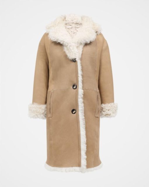 Trendroar.shop90360c6f80 4