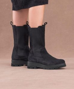 Trendroar.shop918006fbe7 1