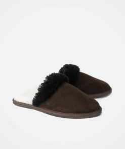 Trendroar.shop92534c5398 2