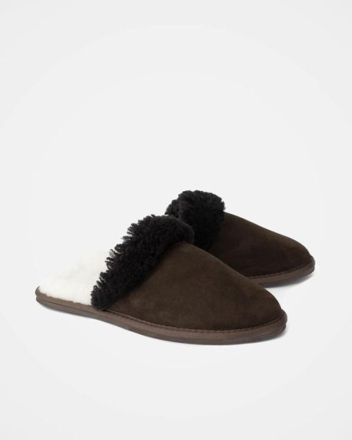 Trendroar.shop92534c5398 2