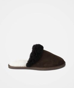 Trendroar.shop92534c5398 3