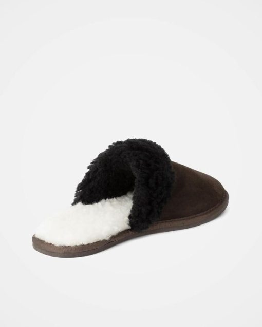 Trendroar.shop92534c5398 5