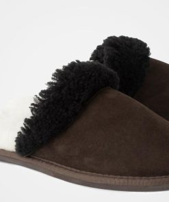 Trendroar.shop92534c5398 6