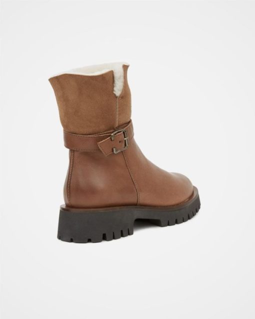Trendroar.shop93a1937476 5
