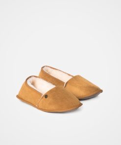 Trendroar.shop945e2ea59c 2