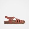 Trendroar.shop9506ca960a 1