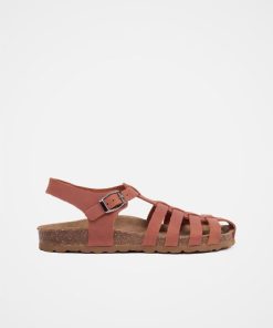 Trendroar.shop9506ca960a 1