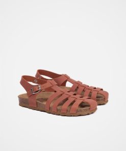 Trendroar.shop9506ca960a 2