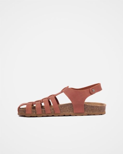 Trendroar.shop9506ca960a 3