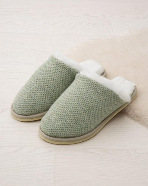 Trendroar.shop9db92ab8ad 1
