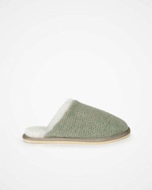Trendroar.shop9db92ab8ad 3