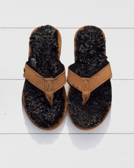 Trendroar.shopa2f8a71da8 1
