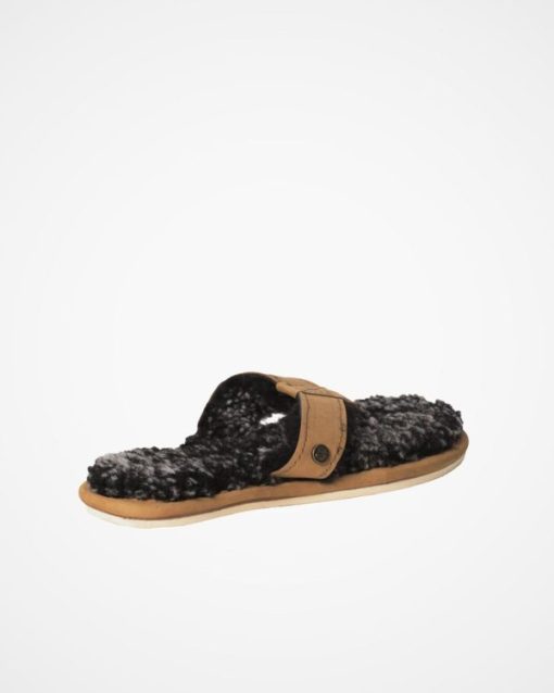Trendroar.shopa2f8a71da8 5