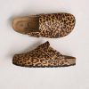 Trendroar.shopa7824a8ebf 1
