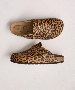 Trendroar.shopa7824a8ebf 1