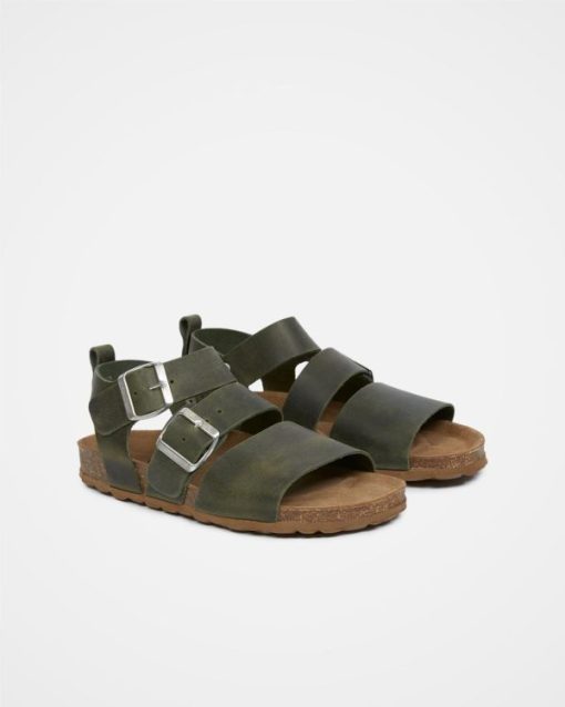 Trendroar.shopa92e841c71 2