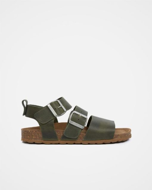 Trendroar.shopa92e841c71 3