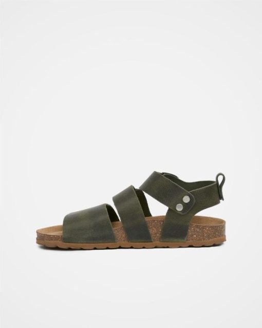 Trendroar.shopa92e841c71 4