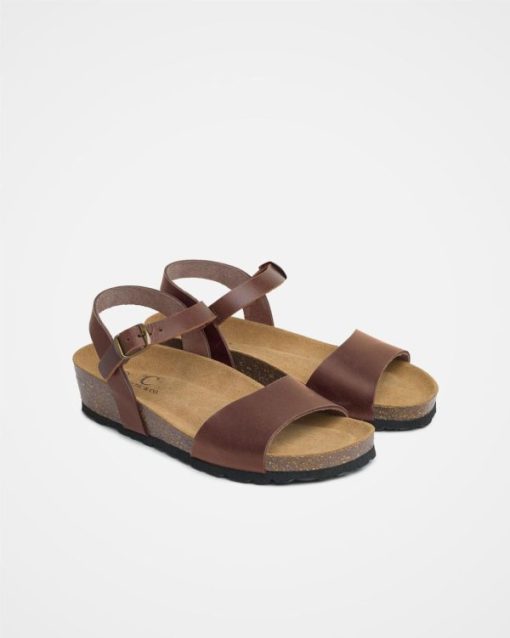 Trendroar.shopaa7fc848a5 2