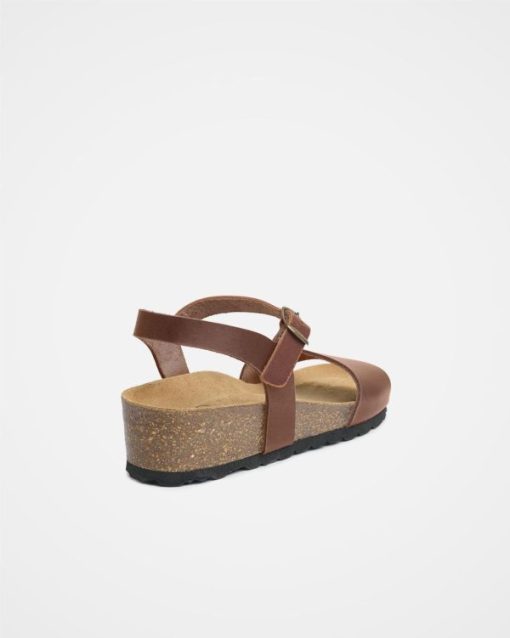 Trendroar.shopaa7fc848a5 5