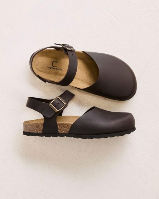 Trendroar.shopae6d32e592 1