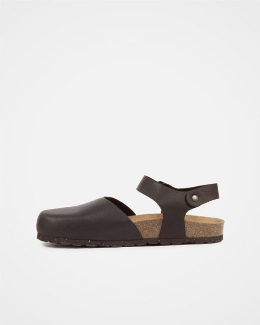 Trendroar.shopae6d32e592 3
