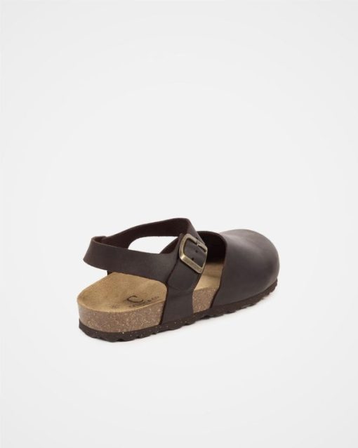 Trendroar.shopae6d32e592 5