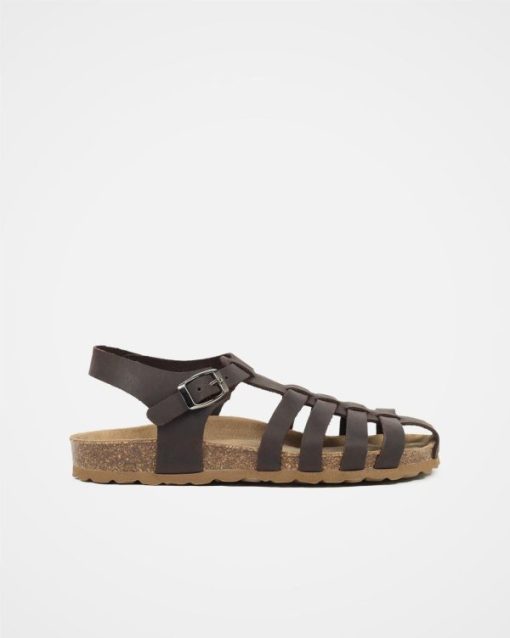 Trendroar.shopb0fe53048f 1