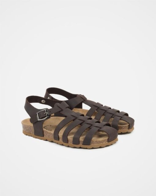 Trendroar.shopb0fe53048f 2