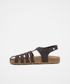 Trendroar.shopb0fe53048f 3