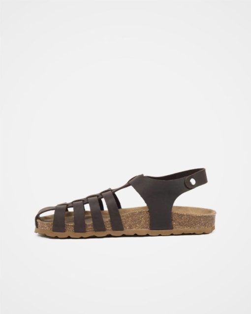Trendroar.shopb0fe53048f 3