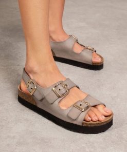 Trendroar.shopb1d015c13e 1