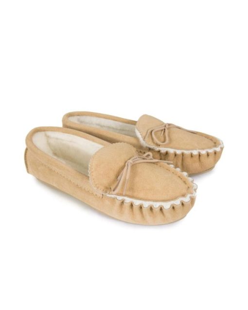 Trendroar.shopb1fbecbbf1 2
