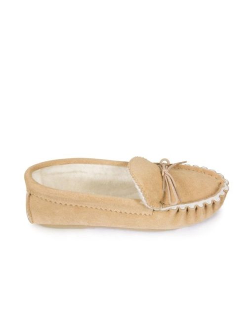 Trendroar.shopb1fbecbbf1 3