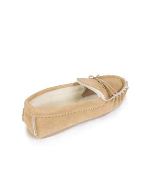 Trendroar.shopb1fbecbbf1 5