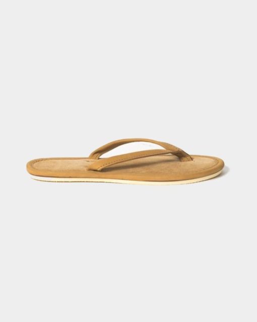 Trendroar.shopbb6d9cba07 3