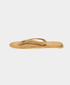 Trendroar.shopbb6d9cba07 4