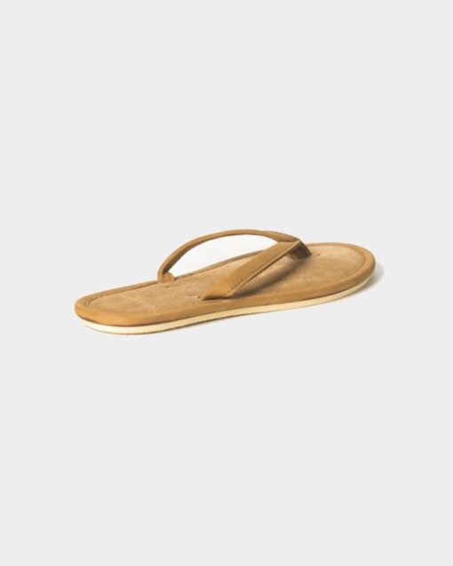 Trendroar.shopbb6d9cba07 5