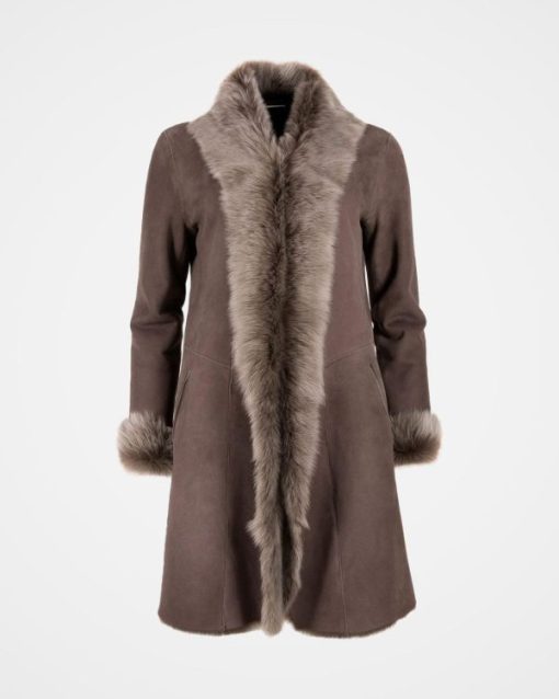 Trendroar.shopbd6ed58053 2