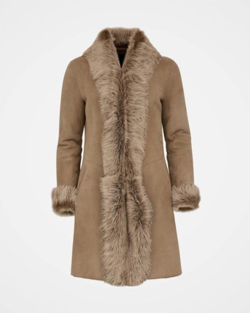 Trendroar.shopbdee5f185a 5